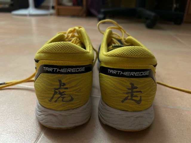 Zapatillas Asics Tartheredge 42.5