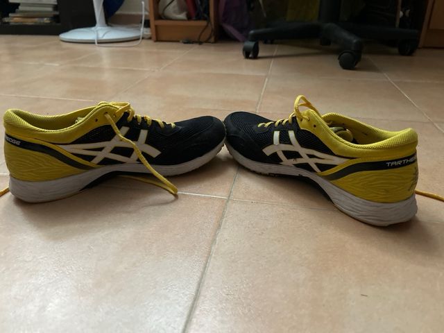 Zapatillas Asics Tartheredge 42.5