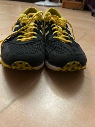 Zapatillas Asics Tartheredge 42.5