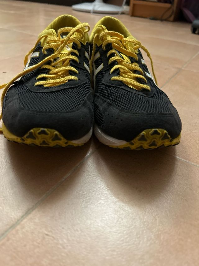 Zapatillas Asics Tartheredge 42.5