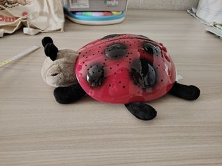 Coccinella Notturna Luce Stelle