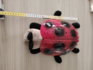 Coccinella Notturna Luce Stelle
