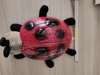 Coccinella Notturna Luce Stelle