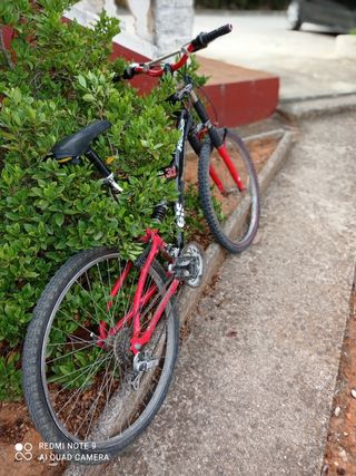 Bicicleta montaña Malossi-Elp