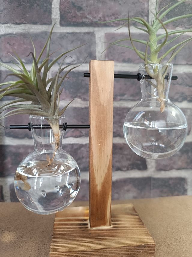 2 Jarrones hidropónicos de madera