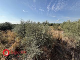 Terreno en venta en Onda
