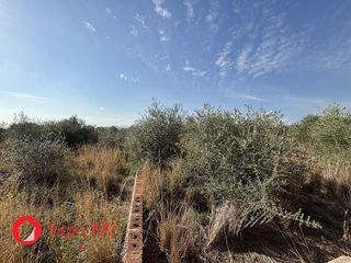 Terreno en venta en Onda
