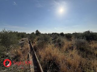 Terreno en venta en Onda