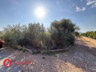 Terreno en venta en Onda