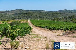 Terreno en venta en Torreblanca