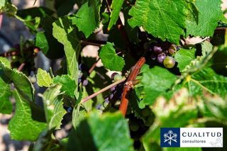 Terreno en venta en Torreblanca