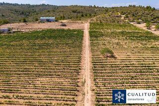 Terreno en venta en Torreblanca