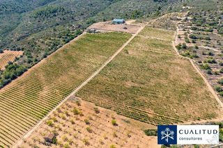 Terreno en venta en Torreblanca