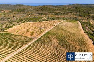 Terreno en venta en Torreblanca