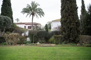 Chalet en alquiler en El Zaudín - Club de Golf en Bormujos