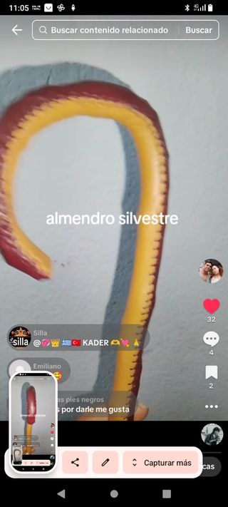 Bastón artesanal almendro