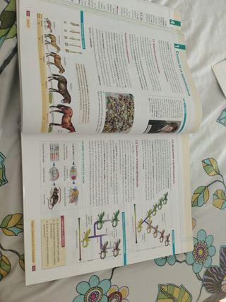 BGB (BIOLOGIA Y GEOLOGIA BACH) AULA 3D