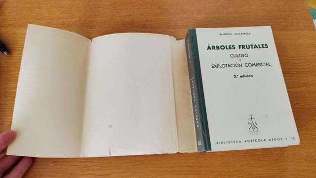 Árboles frutales, cultivo y explotación comercial