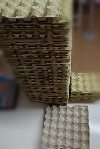 60 Cartones huevos - ecológicos