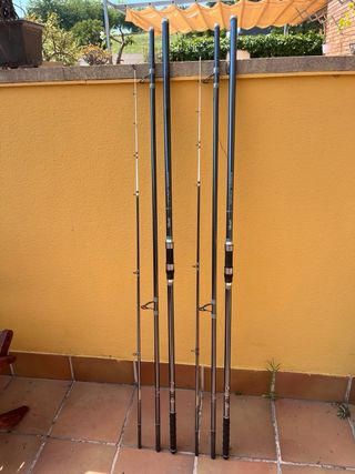Cañas Vercelli Supernova
