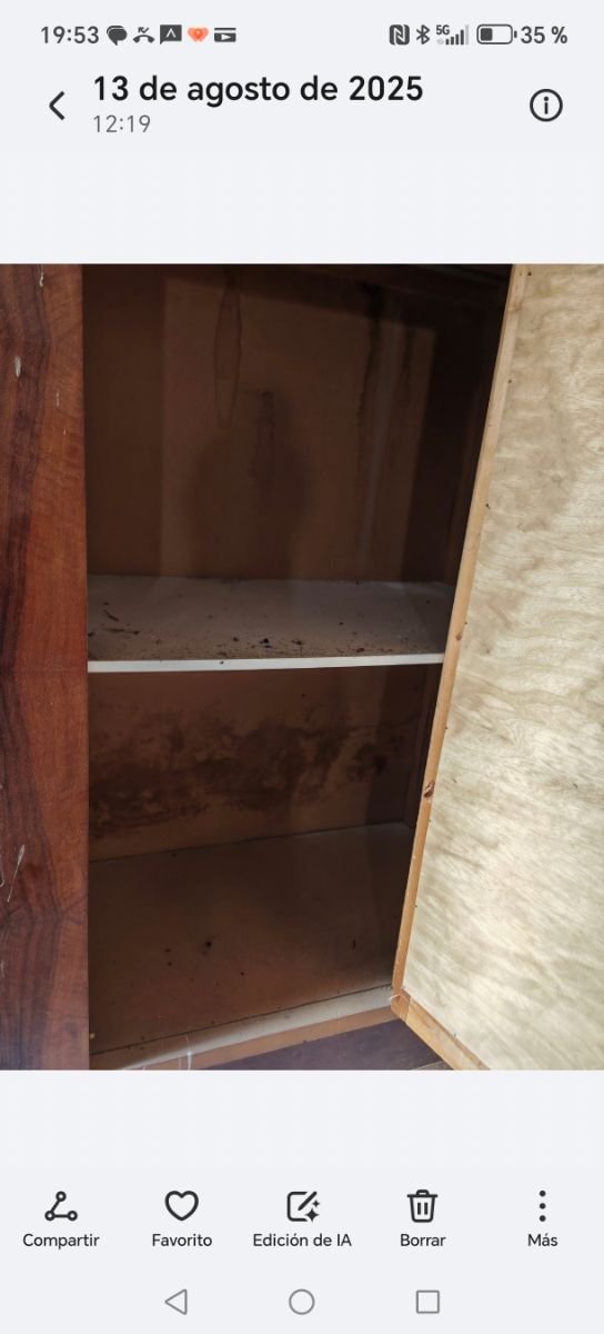 Armario antiguo con espejo tallado.