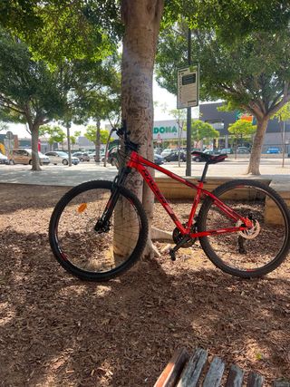 Bicicleta montaña 29" Shimano