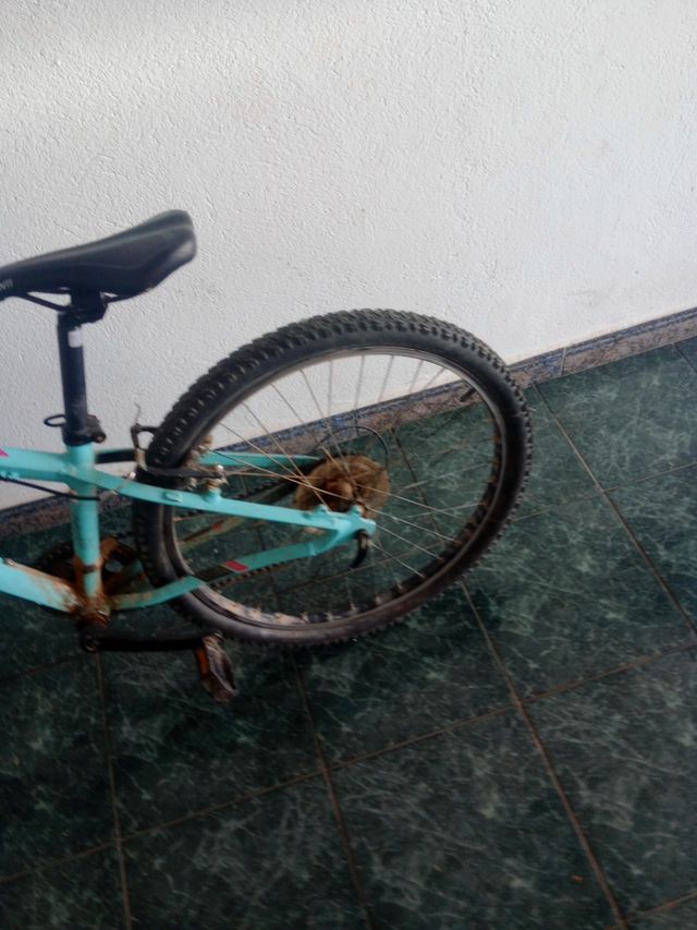 Bicicleta Orbea 24" MTB