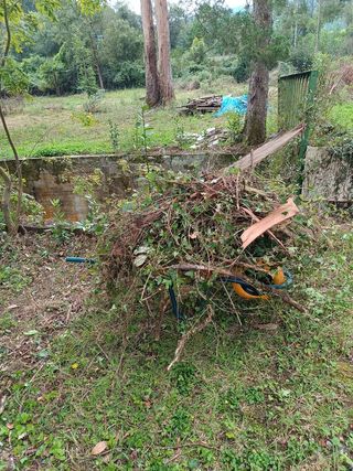 Jardinero