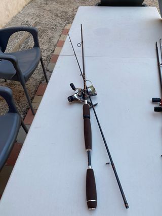 Caña y carrete pesca