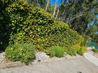 Jardineria y forestal