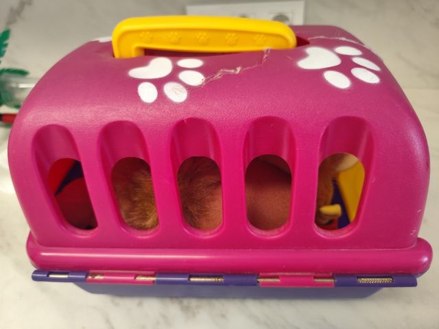 Pack Veterinaria con animales y fichas