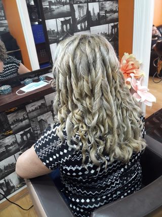 Servicios de peluqueria a domicilio .