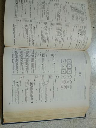 Dicc.español lengua china. CON REGALO