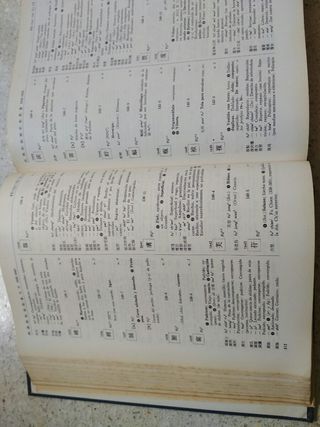 Dicc.español lengua china. CON REGALO