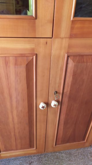 Vitrina de madera y cristal