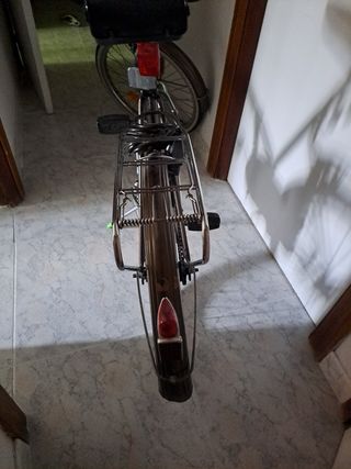 Bicicleta de mujer vintage 