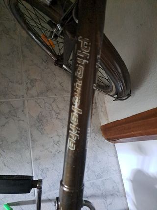 Bicicleta de mujer vintage 
