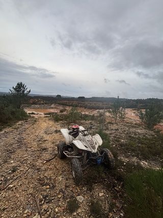 Suzuki LTZ