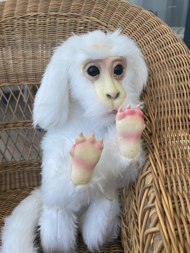 El Dragon Falkor (La historia que nunca termina)