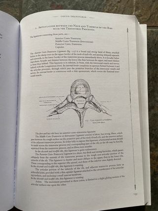 Gray's Anatomy