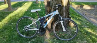 Bicicleta mujer BH spike elle 26"