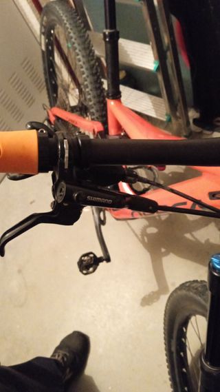 Orbea Occam 29"