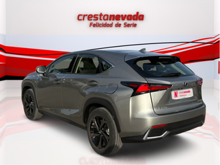 Lexus NX 2.5 300h Sport Edition 2WD