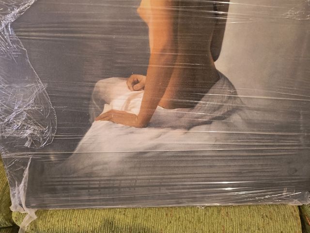 Pintura bailarina óleo