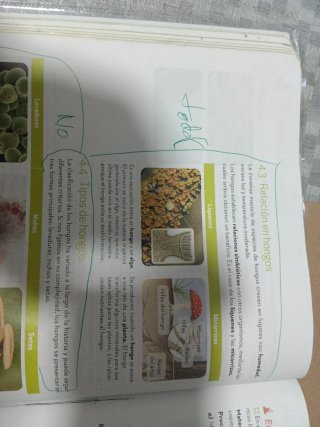 Biología y Geología 1.º ESO