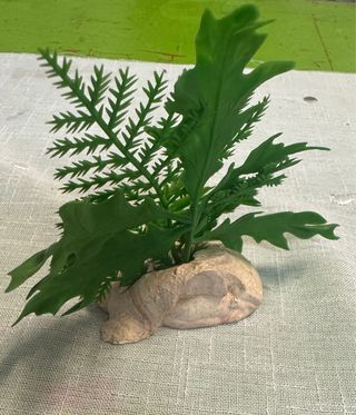 Planta acuario decorativa