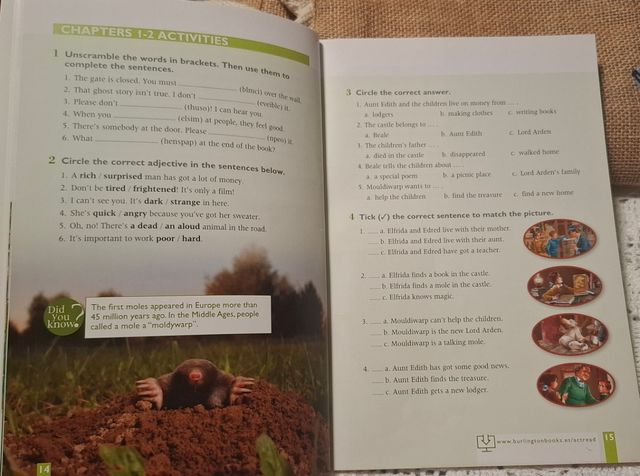 HOUSE OF ARDEN ESO 1 ACTIVITY BURLING