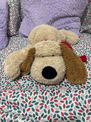 Peluche Perro Beige