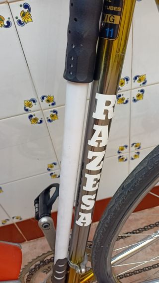 Bicicleta Razesa clásica