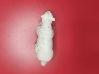 Oso polar de juguete